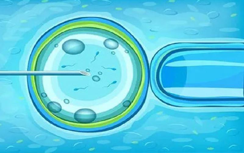 的试管怎样调理代生